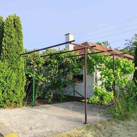Vila Cozy House Cvetkovic Ni Exteriér fotografie