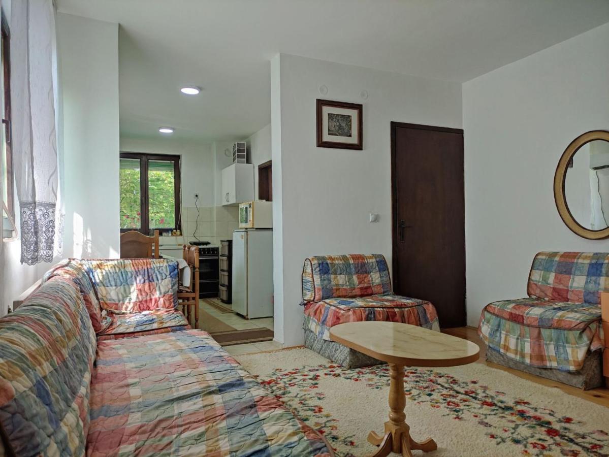 Vila Cozy House Cvetkovic Ni Exteriér fotografie