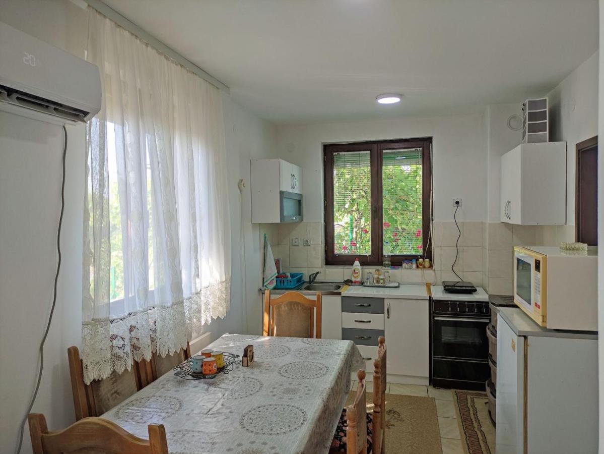 Vila Cozy House Cvetkovic Ni Exteriér fotografie