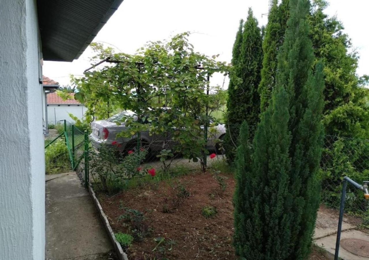 Vila Cozy House Cvetkovic Ni Exteriér fotografie